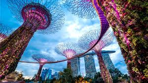 Every year nearly 4,000 malaysians register their companies in singapore. Work In Singapore Getting A Singapore Work Visa Wise Formerly Transferwise