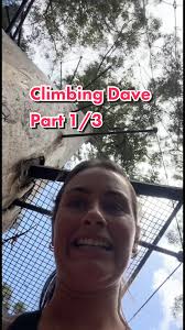 Fun Climbing Moves for Beginners