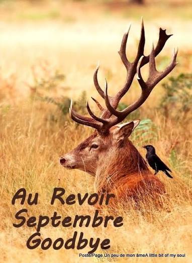Au Revoir Septembre Un peu de mon &acirc;me A little bit of my soul