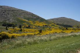 Sierra ventana turismo, sierra de la ventana (sierra de la ventana). Conoce La Comarca Turistica De Sierra De La Ventana Donde Naturaleza Y Gastronomia Se Conjugan Cronos Noticias