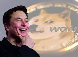 Dogecoin Price Spikes After Elon Musk S Tesla Crypto News Latest Dogecoin Price Today And Price Prediction The Scotsman
