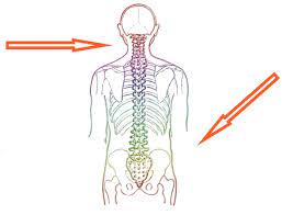 Ruckenschmerzen In Der Lendenwirbelsaule Symptome Ursachen Und Behandlungsmoglichkeiten Apex Spine 2021