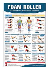 Foam Roller Myofascial Release Chart Poster Muscle