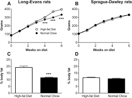 Sprague Dawley Rat Weight Related Keywords Suggestions