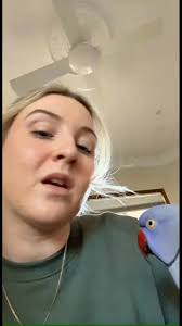 Love telling Hamlet all the useless things that happen in my day, he always  listens 😂#hamlet, #birdsoftiktok #australia #kiss #pet #laugh #bird  #whatdoing #parot #lifecompanion #love