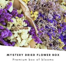 Fake, silk, florals & topiaries. Mystery Dried Flower Boxes Mixed For Flower Arranging Wholesale Flowers Direct Uk
