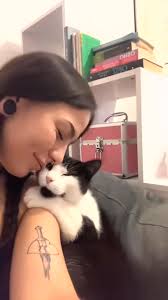 Ms Lilly, my spaghetti obsessed Tortie🤣