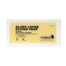 Glue boards can be used specifically for your more. Catchmaster Rat Size Bulk Glue Boards 30 Pack 30r The Home Depot