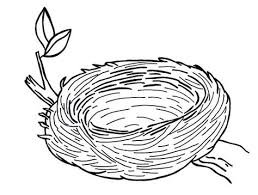 The plans can be used to attract either western or eastern bluebirds. Nests Coloring Pages Learny Kids