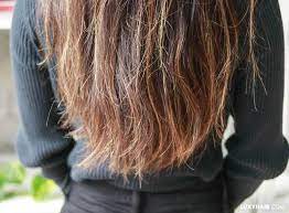 Split Ends How To Get Rid Of Split Ends Prevention Tips Causes Best Hair Transplant Common Hair Problems Thin Hair Problems