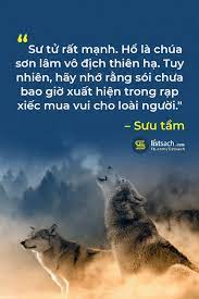 Trich Dẫn Hay Về Quy Tắc Triết Ly Sống Của Loai Soi Quote Hay Nen Nhớ Quotes Girls Truyền Cảm Hứng Cuộc Sống