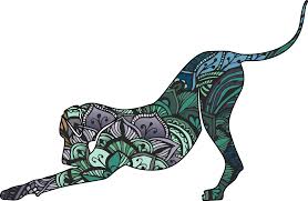 120+ hours of yoga to suit your style. Yogatown