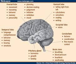 Pin On Brain Tumors