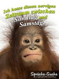 Nerviger Zeitraum Zwischen Sonntag Und Samstag Spruchbilder Wochenende Lustig Schones Wochenende Lustig Bild Wochenende