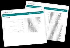 Image result for Chamaecrista zambesica