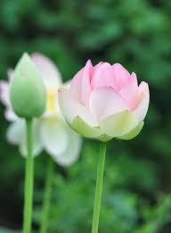 Pin On Art References