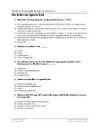 Worksheet Endocrine System Quiz With Answers Docsity