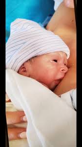 Shelby Lynne Warren (@shelbylynnewarren)