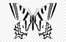 Butterfly outline png flying butterfly png images flying butterfly png butterfly png black and white. Monarch Butterfly Clipart Outline Black And White Outline Of Butterfly Png Download 5621731 Pinclipart