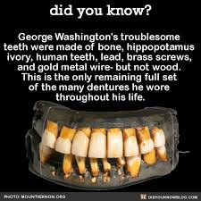 American president george washington's teeth began to fall out before he reached the age of 30, and he eventually lost them all. Ever Wondered What George Washington S Teeth Were Actually Made Of Fakuto