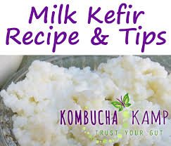 milk kefir recipe and tips how to