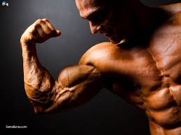 Free download Bodybuilding Wallpaper Hd LiLzeu Tattoo DE [1024x768] for  your Desktop, Mobile & Tablet | Explore 77+ Bodybuilder Wallpaper | Free  Desktop Wallpaper Bodybuilding Inspirations, Bodybuilding Wallpapers HD,  Bodybuilding Motivation Wallpaper
