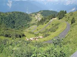 The following 13 files are in this category, out of 13 total. Monte Zoncolan Sella Monte Zoncolan Il Concolan Alpen Motorrad Guide