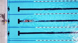 Pin On Swim Workouts