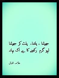 Pin On Urdu