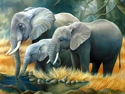 3d Animal Background Hd Wallpapers Hd Wallpapers Blog Elephant Wallpaper Elephant Painting Elephant Art