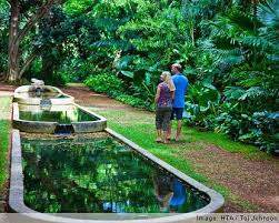National Tropical Botanical Garden Kauai Kauai Botanical Garden Kauai Botanical Gardens Beautiful Gardens