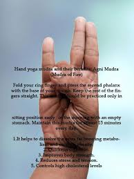 Hand Yoga Mudra And Their Benefits Yoga Hands Yoga Thoughts Mudras