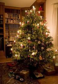 Pin On Winter Decor