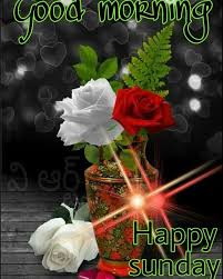Pin By Danuta Pawliszyn On Good Morning In 2020 Good Morning Happy Sunday Sunday Greetings Good Morning Flowers