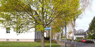 Calau · 3 zimmer · 1 bad · wohnung · garten · keller · stellplatz. Wohnungen Wbc Calau