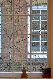 Buddha haus allgäu programm 2020 2021. Links Buddhistisches Stadt Zentrum Hamburg