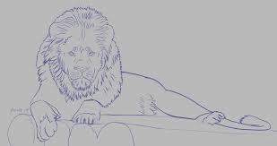 We did not find results for: How To Draw Lions By Chrystianyaxche Clip Studio Tips