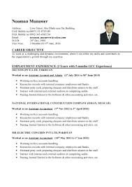 Support professional terms of employment: Junior Accountant Cv 1