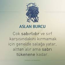Alya Adli Kullanicinin Astroloji Panosundaki Pin Burclar Aslan Burc Bilgileri