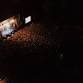 Sherblues & Folk event image