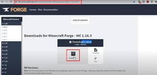 Please try and help me with this issue!    you will be very happy if you can help me with this issue. Advanced Finders Mod How To Download Install In Minecraft