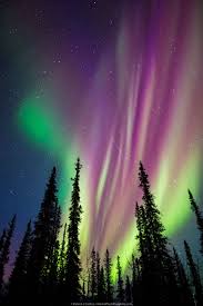 Furthermore, there is quite strong (but poorly understood) tendency for auroral activity to be stronger at equinox than it is at solstice. Alaska Aurora Borealis Photo Tours Northern Lights Painting Northern Lights Wallpaper Northern Lights Photography