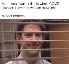 This is a marble hornets kink meme and will remain such. Memes Hit Twitter As Murder Hornet Invasion Continues A Rough 2020