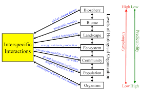 How Does A Population Differ From A Community Socratic