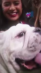 Georgia Bulldogs Hype Video