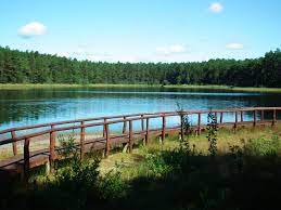 There are 5 ways to get from bydgoszcz to bory tucholskie national park by train, bus, taxi or car. Bory Tucholskie National Park Wikipedia