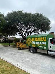We did not find results for: Hernandez Tree Experts Home Facebook