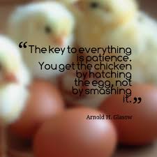 Image Result For Quote About Chickens Font And Words Cool Office Quotes Be Patience