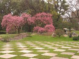 Jardin Japones Buenos Aires Argentina Japanese Garden Buenos Aires Botanical Gardens