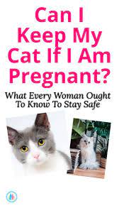 Pin On Pregnancy First Trimester